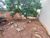 Terreno, 402 m² - Foto 1