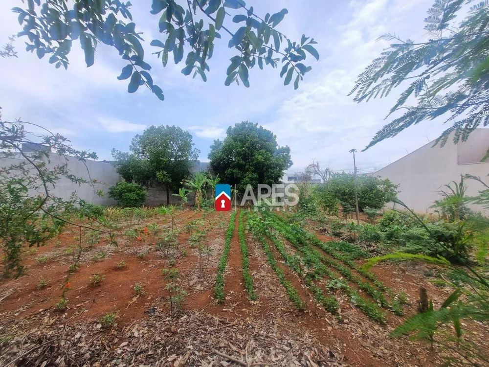 Terreno, 250 m² - Foto 3