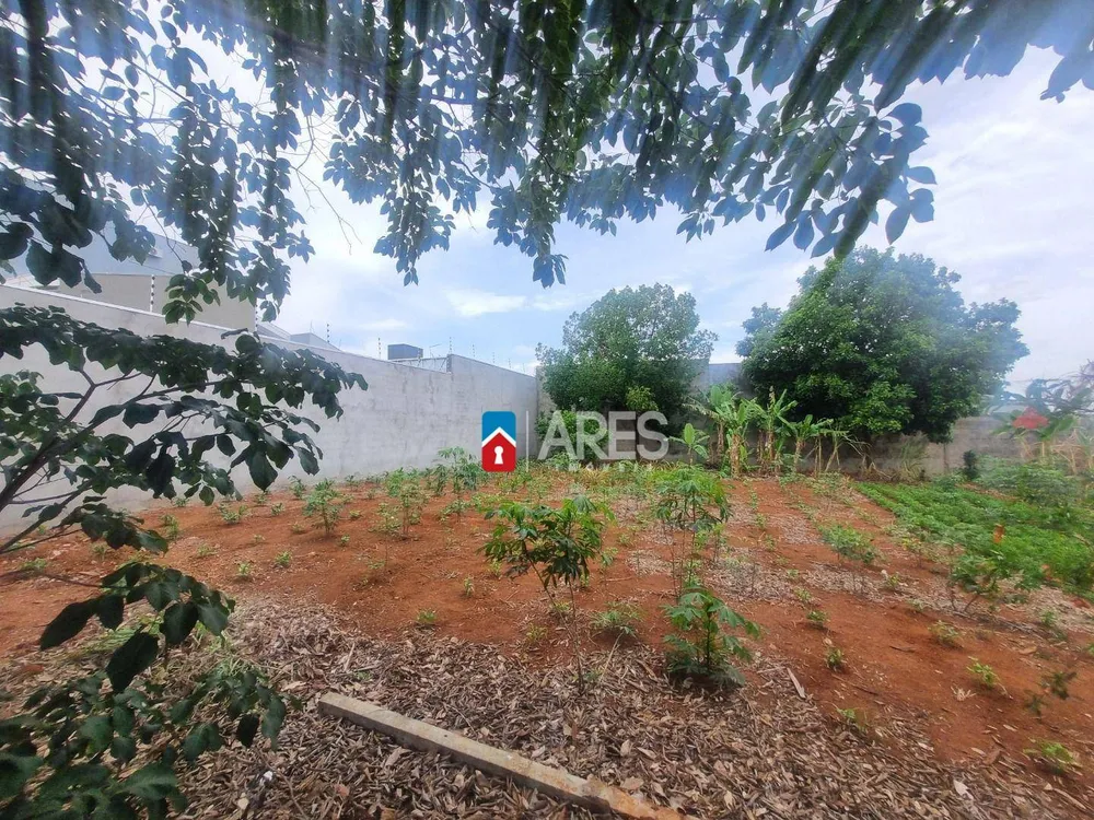 Terreno, 250 m² - Foto 2