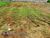 Terreno, 380 m² - Foto 2