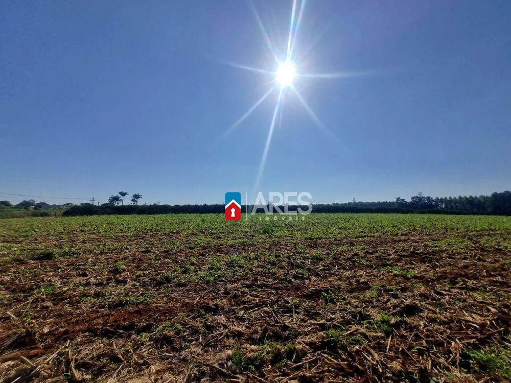 Terreno, 2 hectares - Foto 3