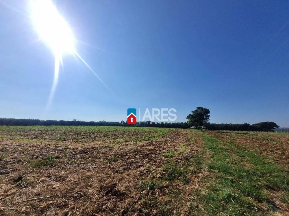 Terreno, 2 hectares - Foto 6