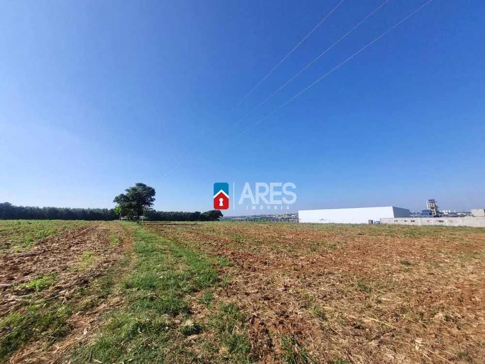 Terreno, 2 hectares - Foto 7