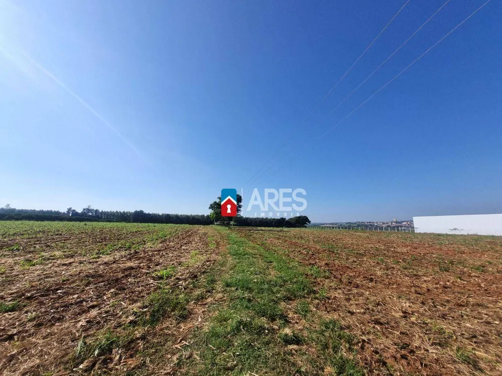 Terreno, 2 hectares - Foto 3