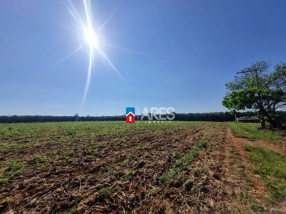 Terreno, 2 hectares - Foto 6
