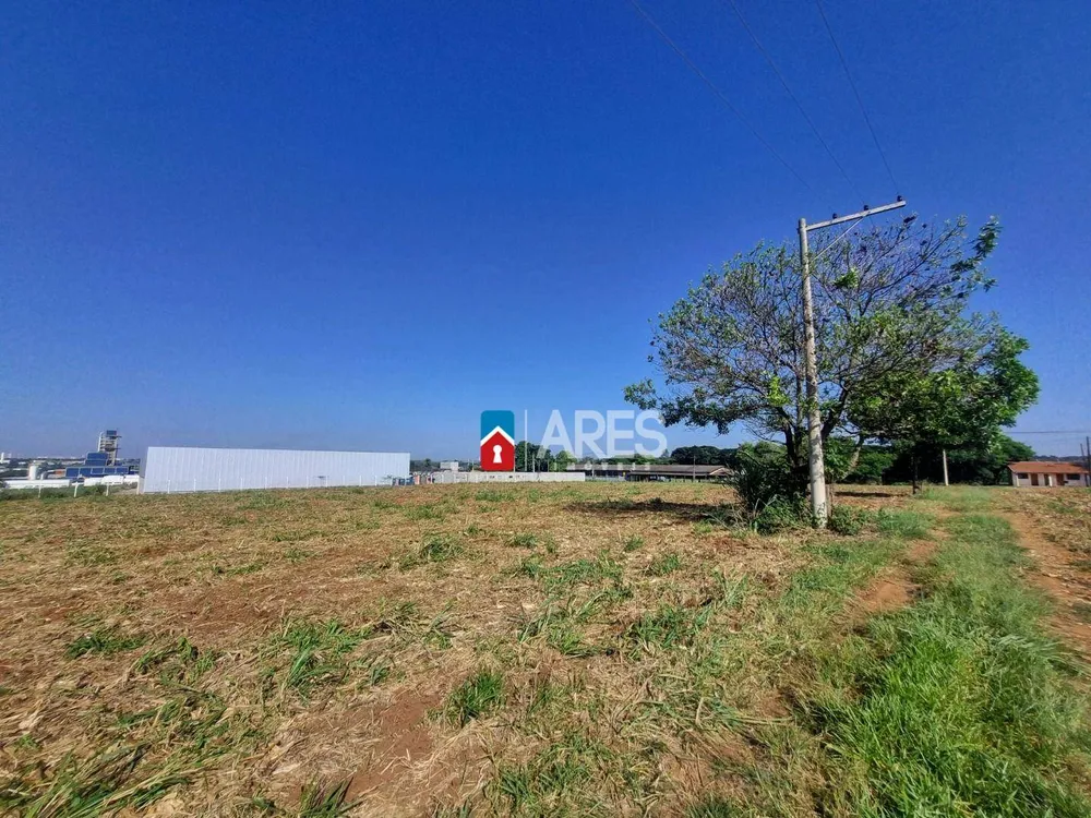 Terreno, 2 hectares - Foto 8
