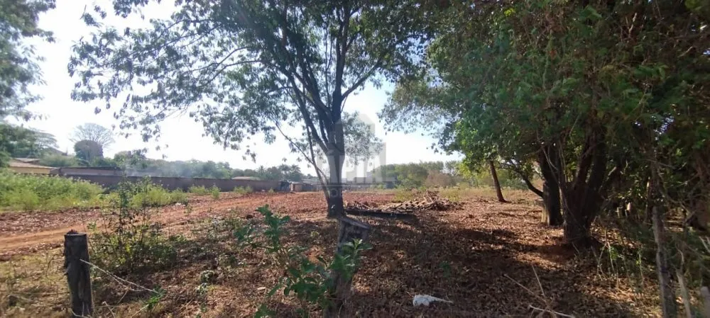 Terreno, 7360 m² - Foto 6