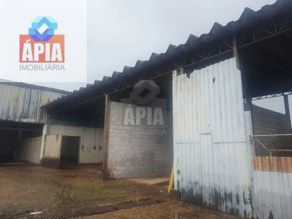 Depósito-Galpão, 4250 m² - Foto 1