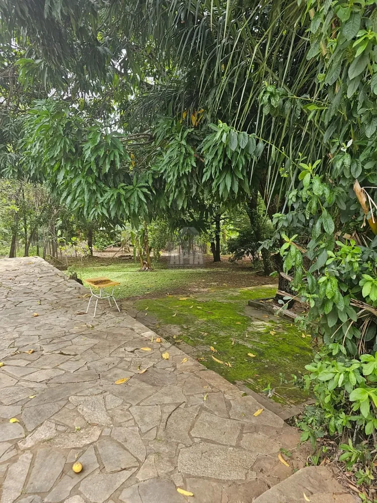 Chácara, 4 quartos, 2 hectares - Foto 6