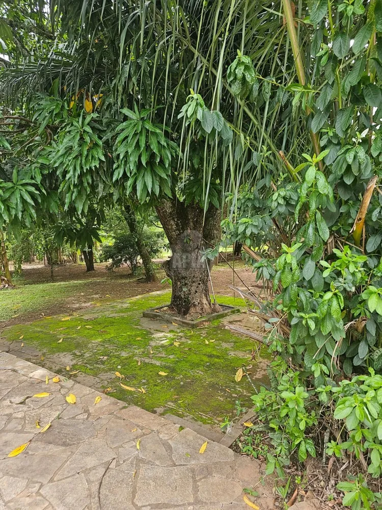 Chácara, 4 quartos, 2 hectares - Foto 7