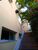 Casa, 4 quartos, 280 m² - Foto 4