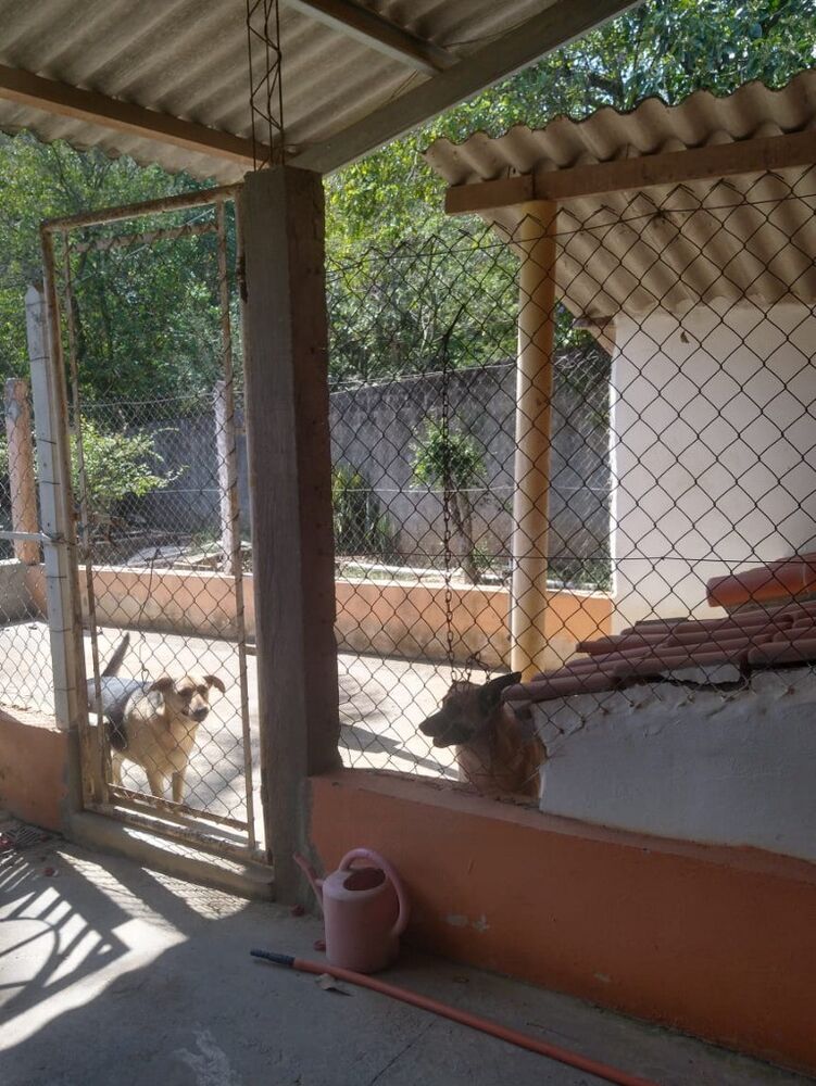 Chácara à venda com 4 quartos, 600m² - Foto 1