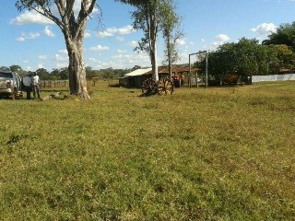 Fazenda - Foto 1
