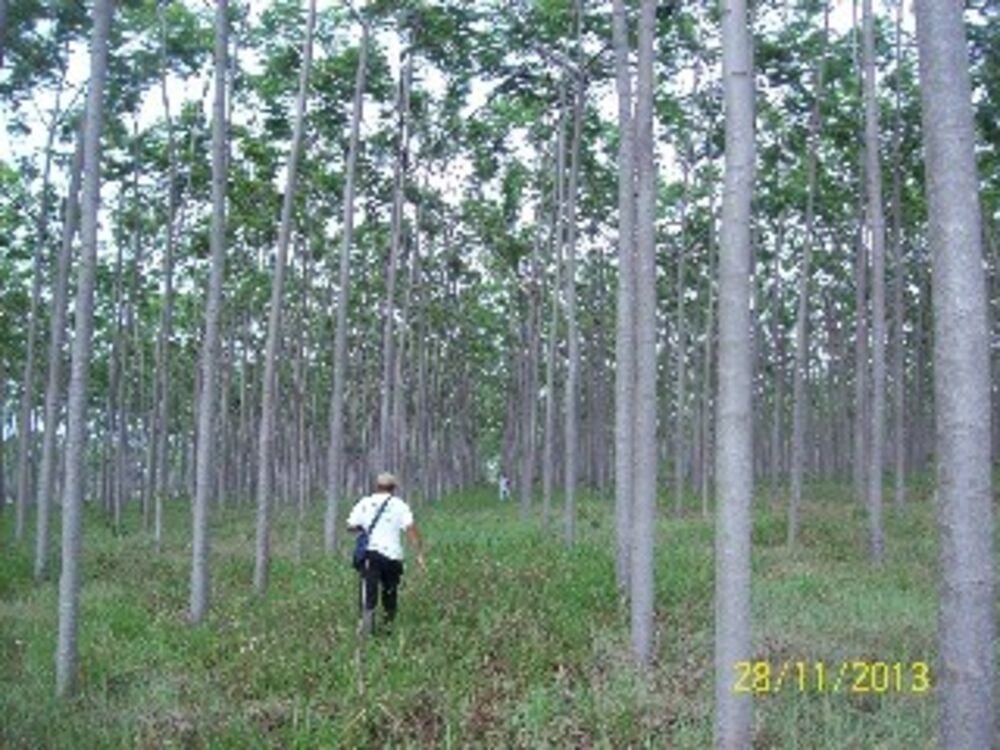 Fazenda, 3 quartos - Foto 3