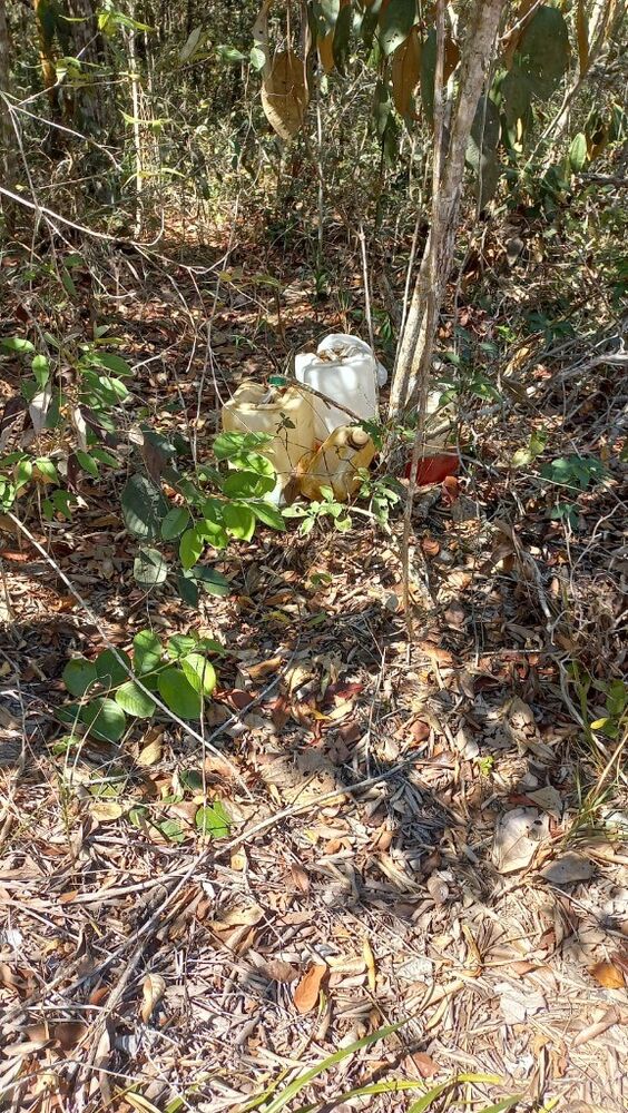 Fazenda, 942 m² - Foto 2