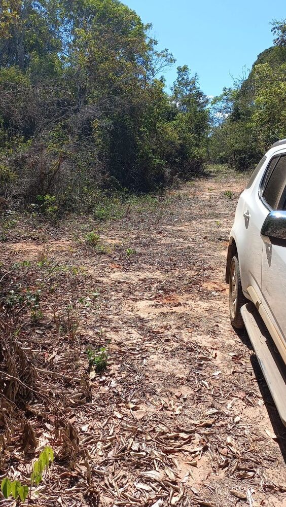 Fazenda, 942 m² - Foto 6