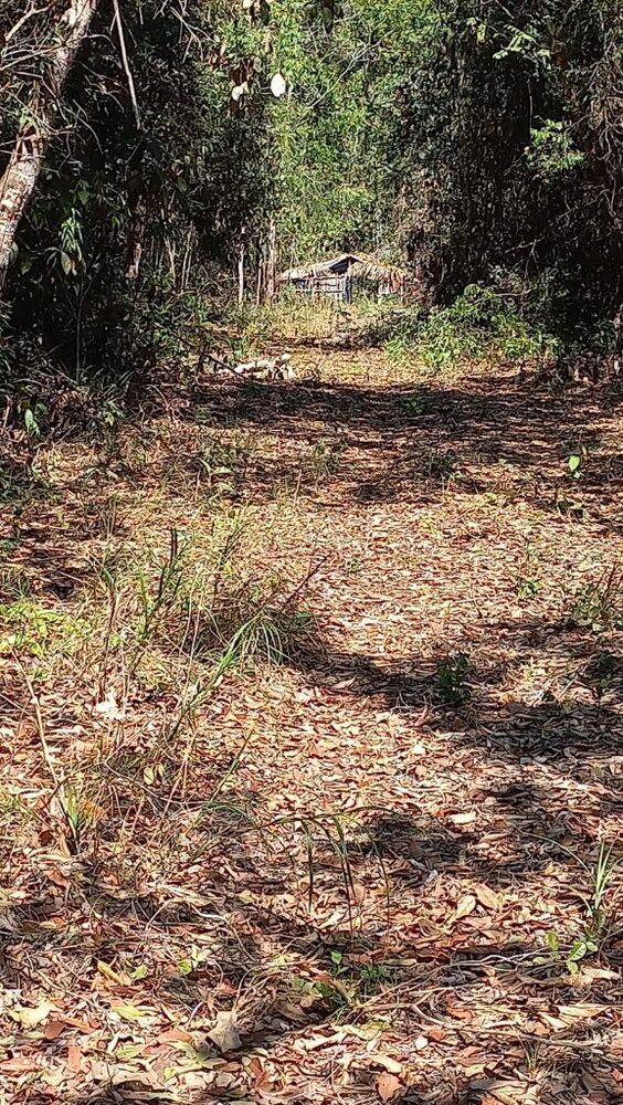 Fazenda, 942 m² - Foto 5