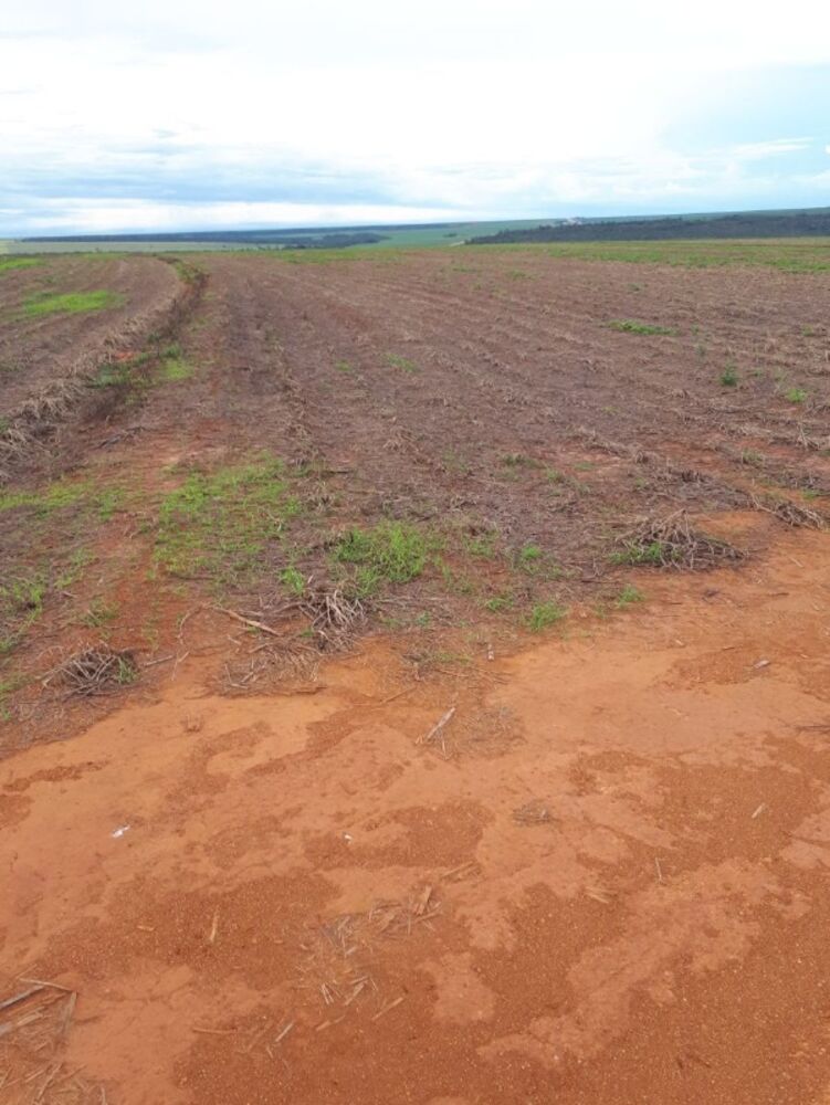 Fazenda à venda, 1030m² - Foto 4