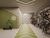 Cobertura, 3 quartos, 276 m² - Foto 5