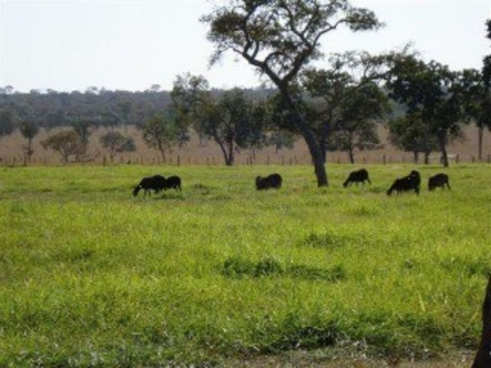 Fazenda à venda, 501m² - Foto 6