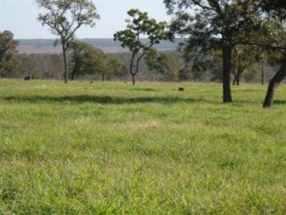 Fazenda à venda, 501m² - Foto 4