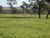 Fazenda - Foto 4