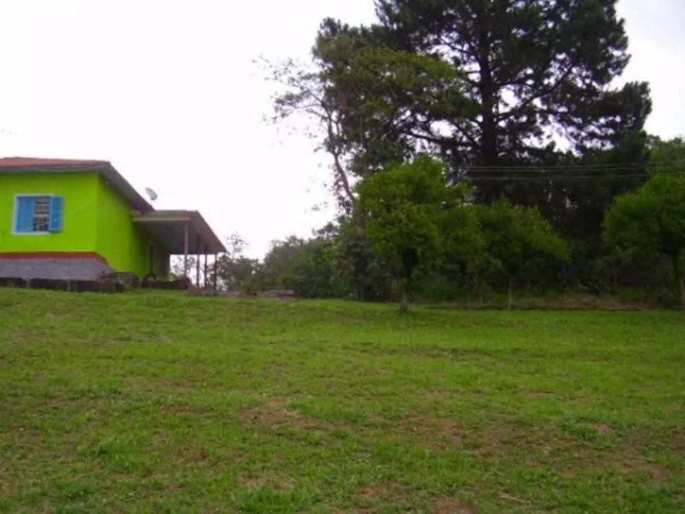 Terreno, 5409 m² - Foto 7