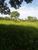 Fazenda - Foto 9