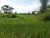Fazenda - Foto 10