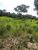 Fazenda - Foto 16