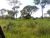 Fazenda - Foto 11