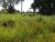 Fazenda - Foto 14