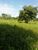 Fazenda - Foto 4
