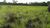 Fazenda - Foto 3