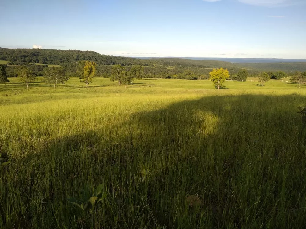 Fazenda à venda com 4 quartos, 670m² - Foto 4