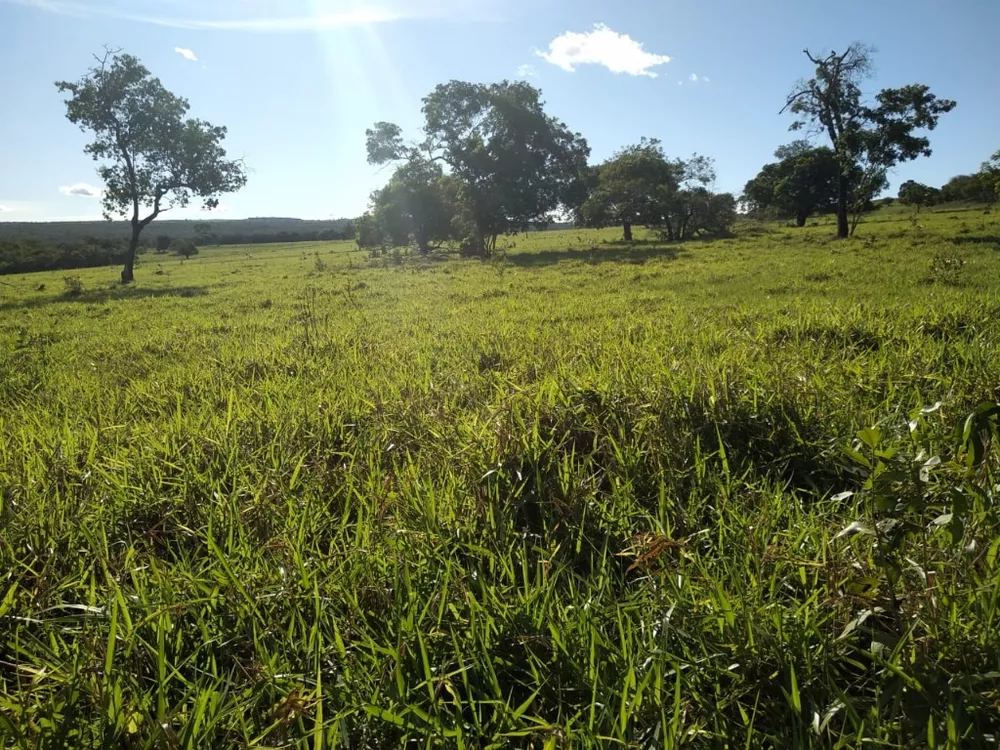 Fazenda à venda com 4 quartos, 670m² - Foto 8