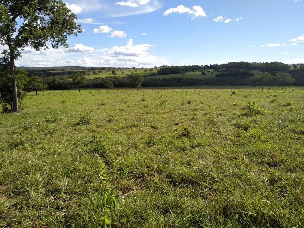 Fazenda à venda com 4 quartos, 670m² - Foto 11