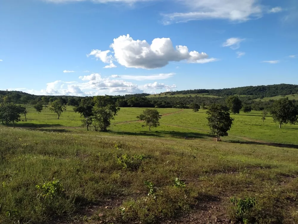 Fazenda à venda com 4 quartos, 670m² - Foto 5