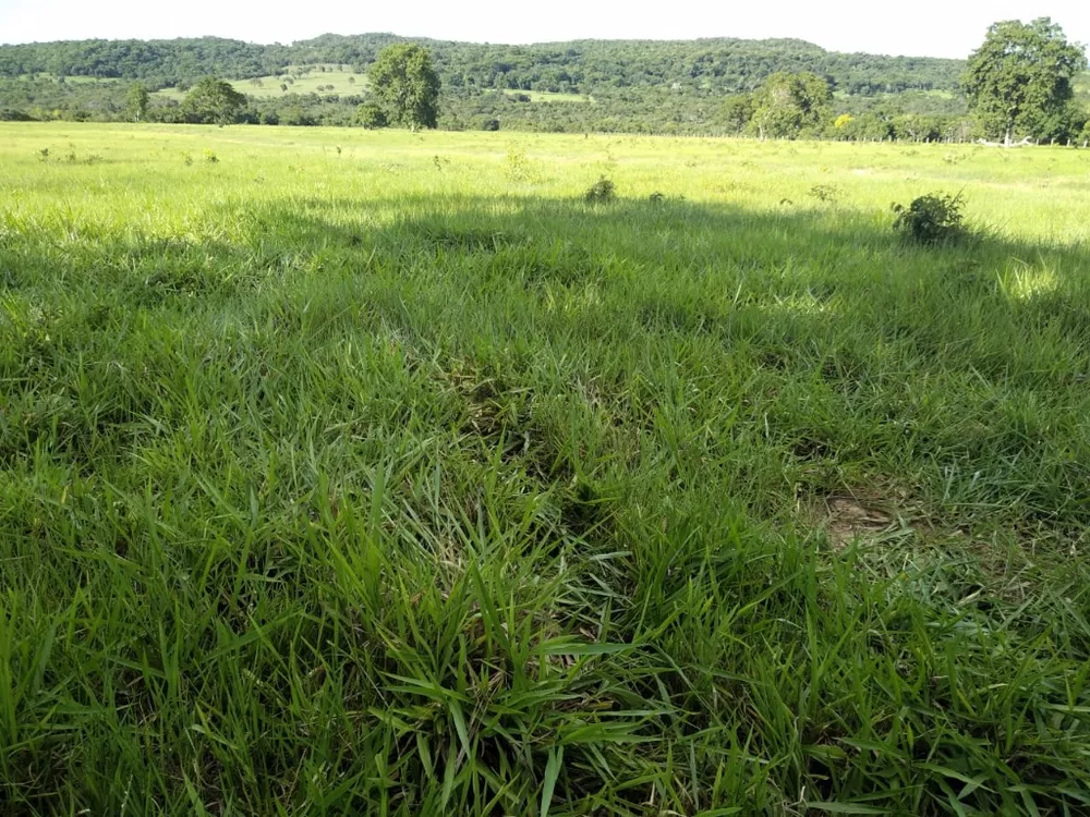 Fazenda à venda com 4 quartos, 670m² - Foto 9