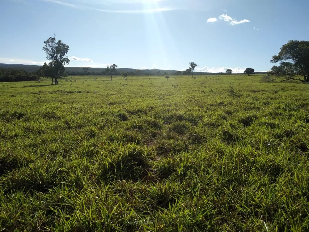 Fazenda à venda com 4 quartos, 670m² - Foto 10