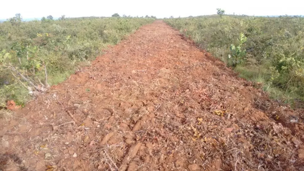 Fazenda à venda, 1000m² - Foto 4