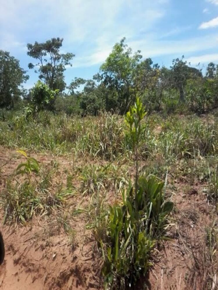 Fazenda, 1245 m² - Foto 3