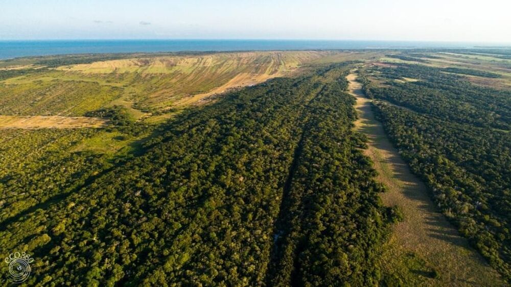 Fazenda à venda com 6 quartos, 52500m² - Foto 2