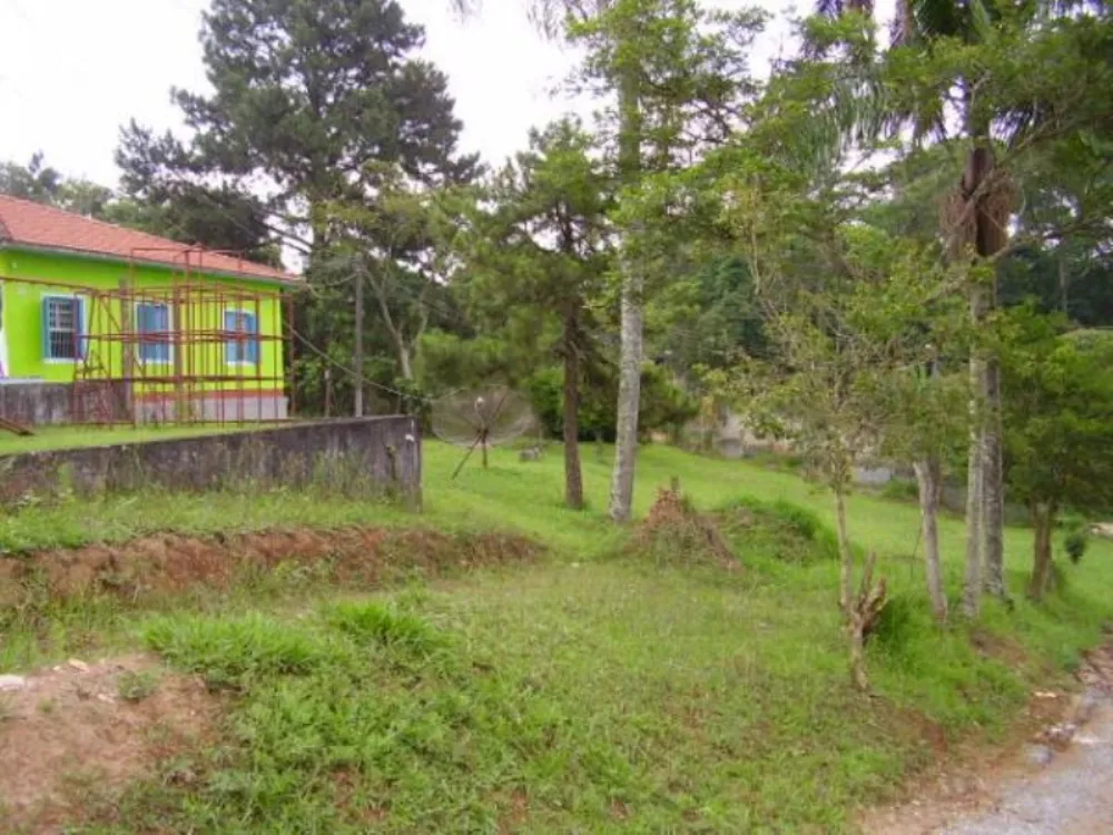 Terreno, 5409 m² - Foto 12