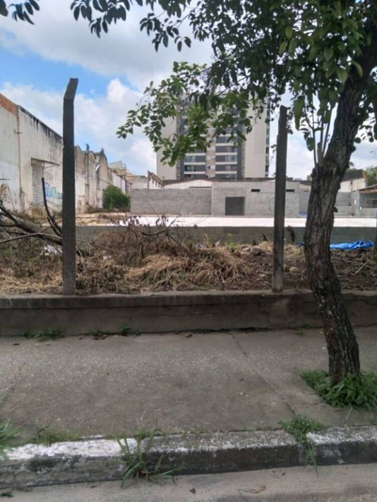 Terreno, 2392 m² - Foto 2