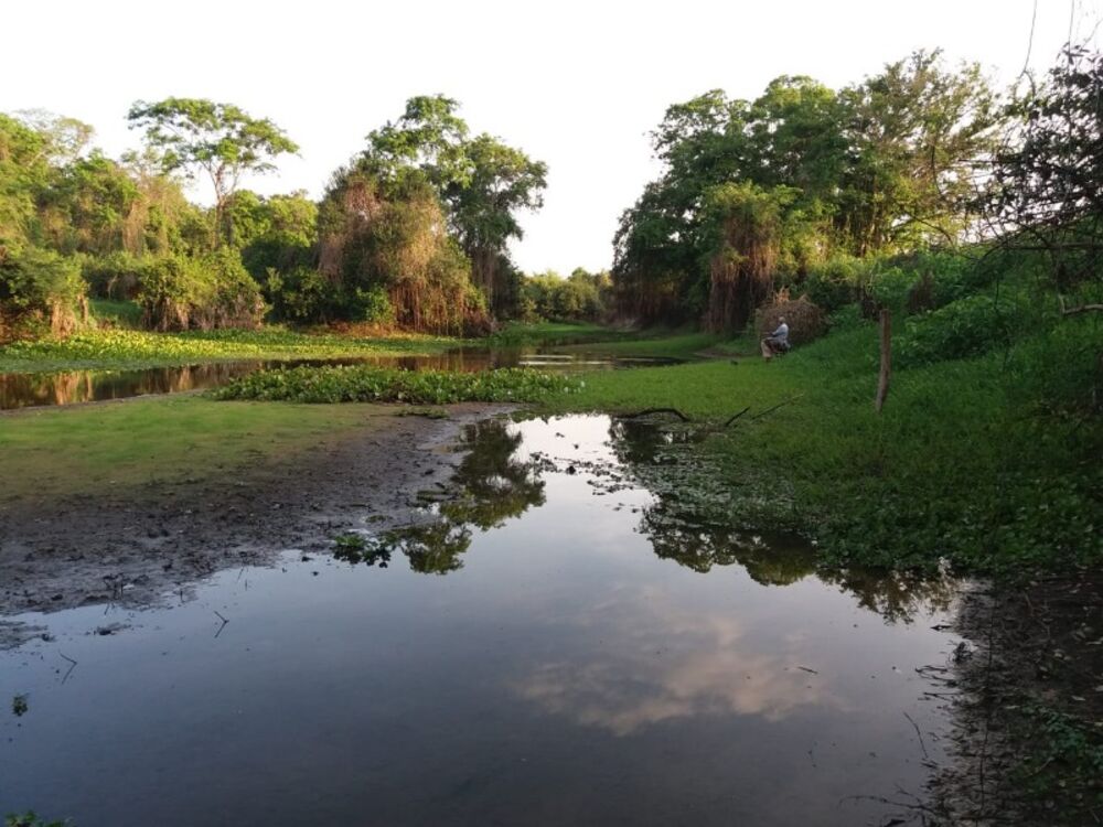 Fazenda à venda, 9900m² - Foto 1