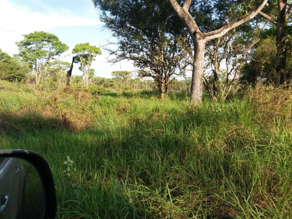 Fazenda à venda, 9900m² - Foto 3