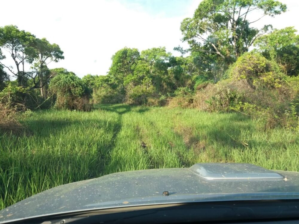 Fazenda à venda, 9900m² - Foto 2