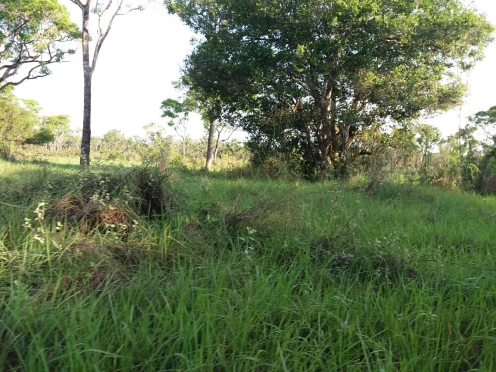 Fazenda à venda, 9900m² - Foto 6