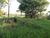 Fazenda-Sítio-Chácara - Foto 6